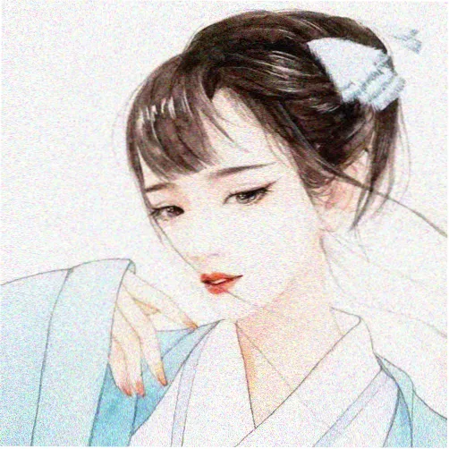留言者阿岚的头像占位图
